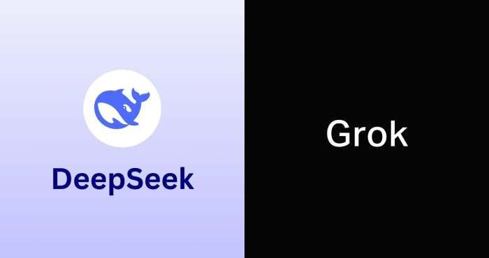 DeepSeek(좌)와 Grok(우) 로고