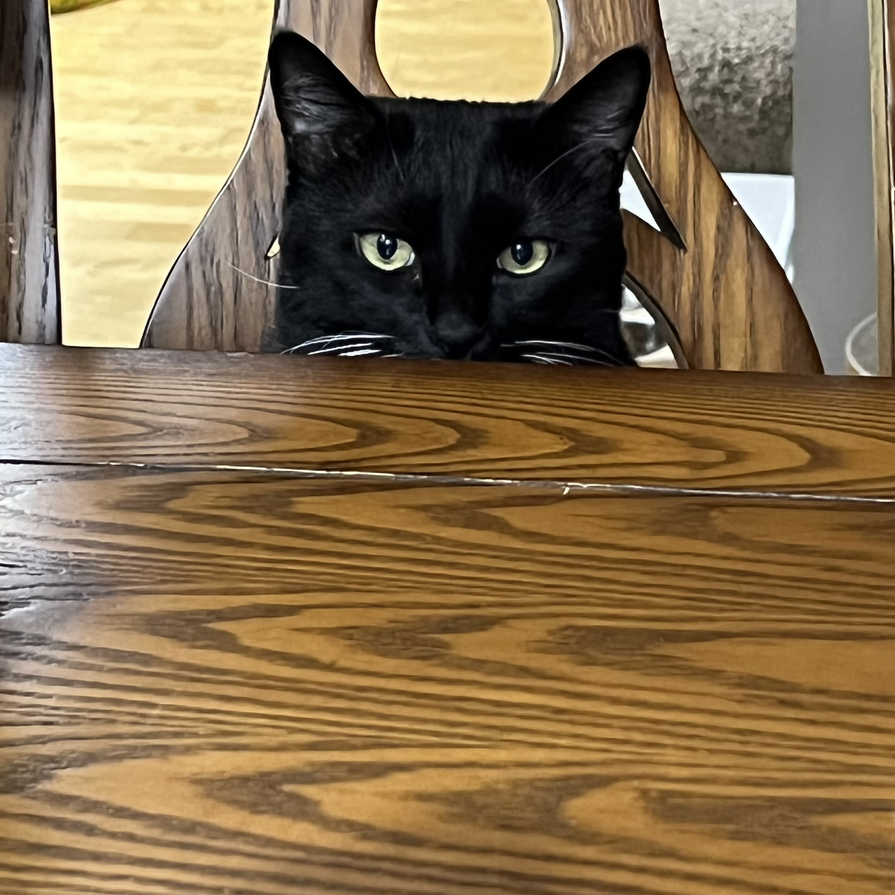 뉴쑤레터 쓰는 것감시 당하고 있다..