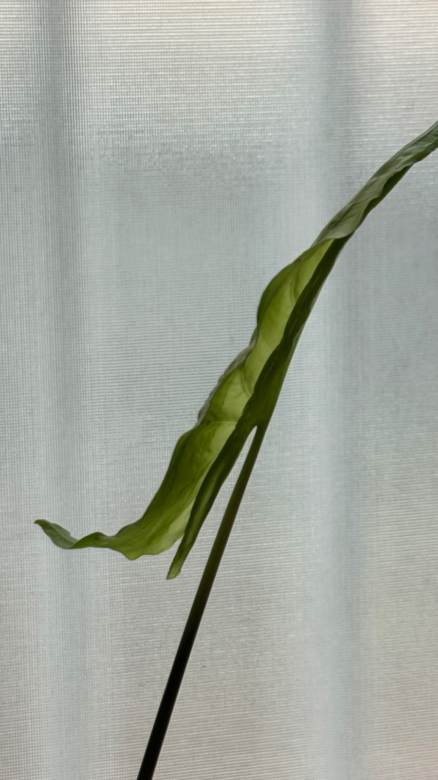 제목 없음의 썸네일 이미지