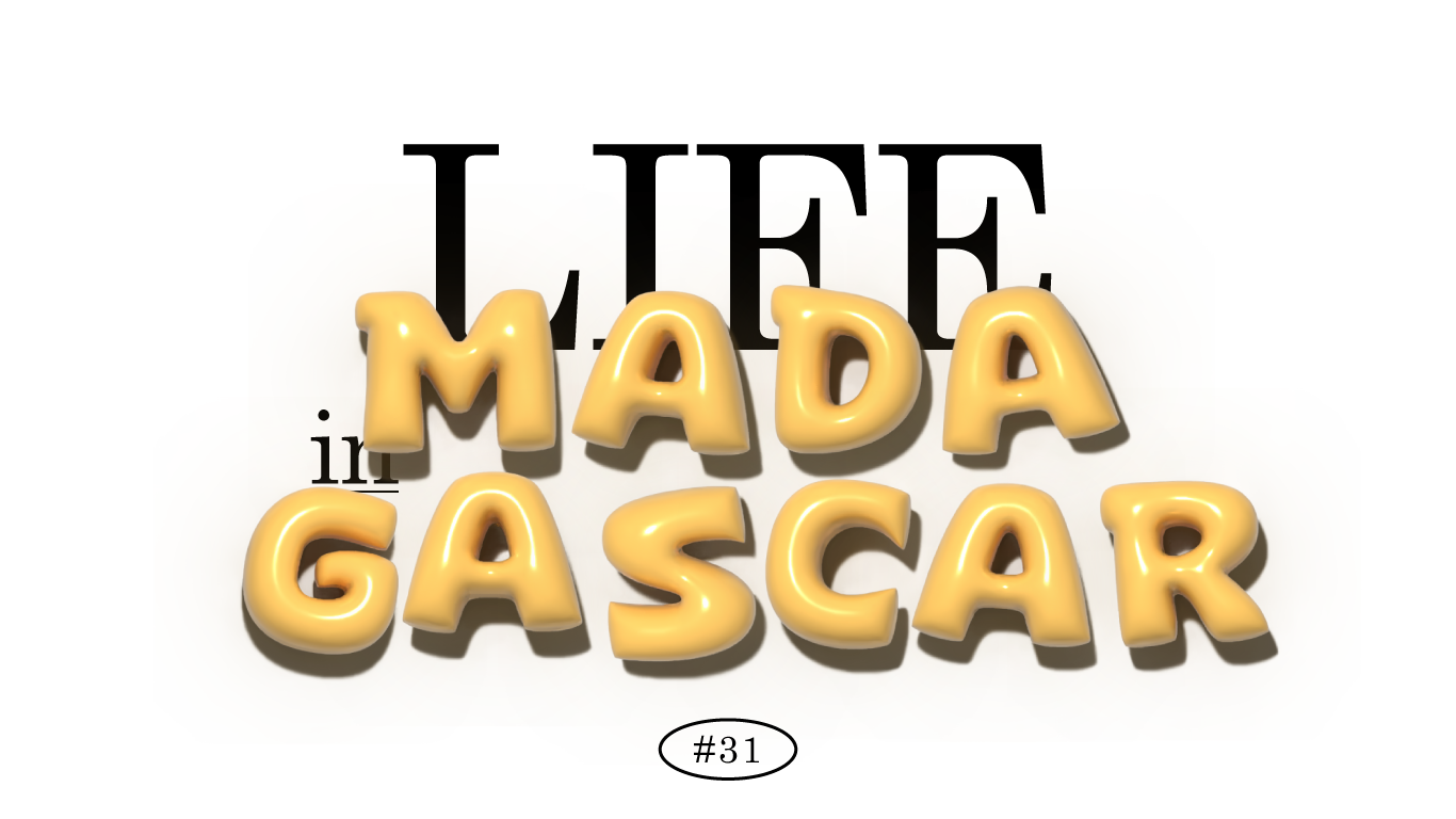 #31 🇲🇬 How to live with a Malagasy의 썸네일 이미지