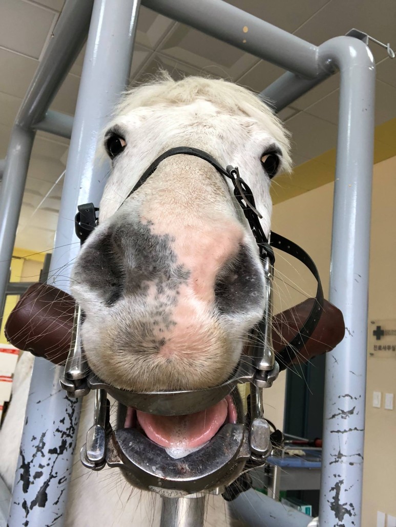 어서 빨리 치료를 마치라고! 