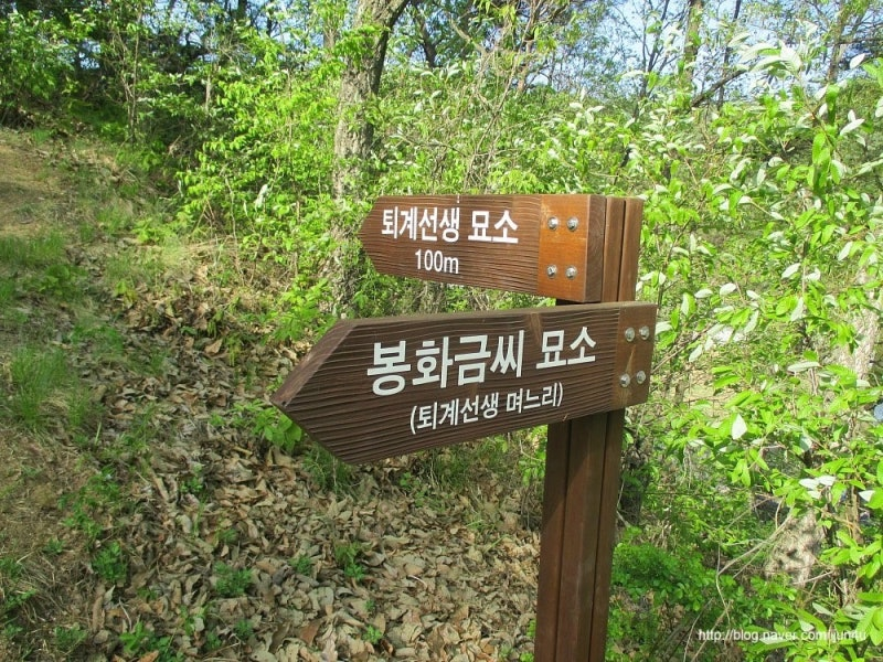 오른쪽 아래에 사진 출처 블로그 주소가 있습니다.