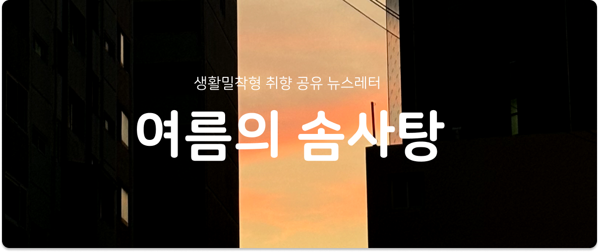 [여름의 솜사탕] #205 세상에 매달릴 근육을 만드는 수밖에의 썸네일 이미지