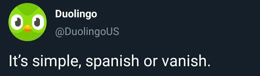 지속적인 언어 학습을 유도하는 듀오링고&nbsp;&nbsp;