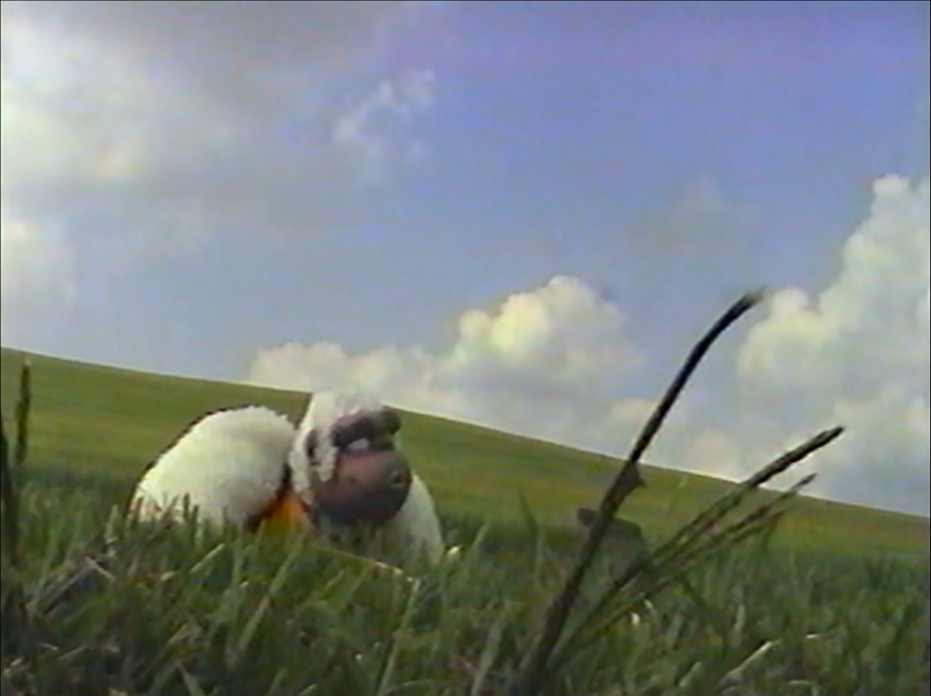 <룩킹 포 파라다이스> 중 한 장면