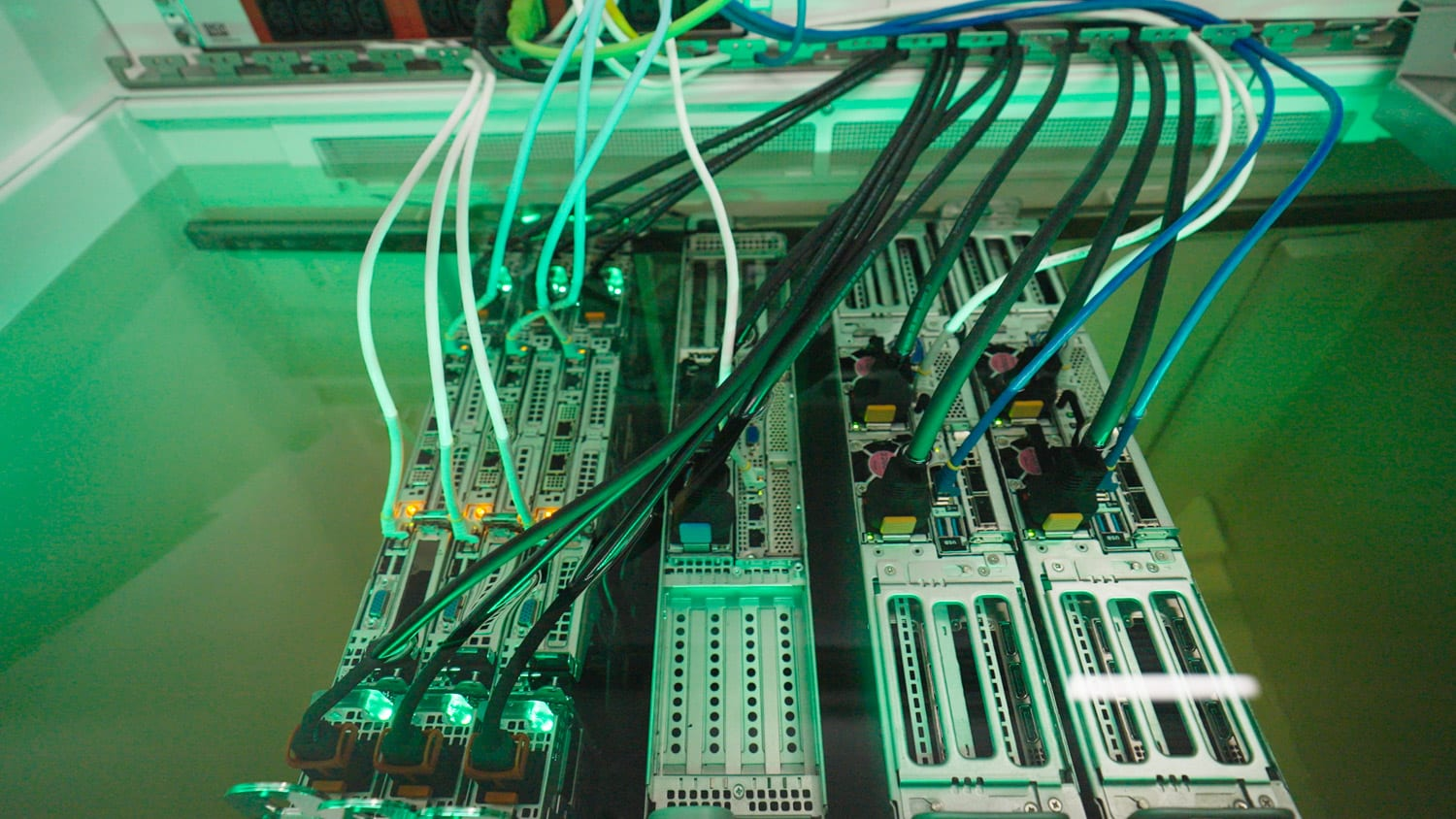 8월 첫째주 New Update 의 썸네일 이미지