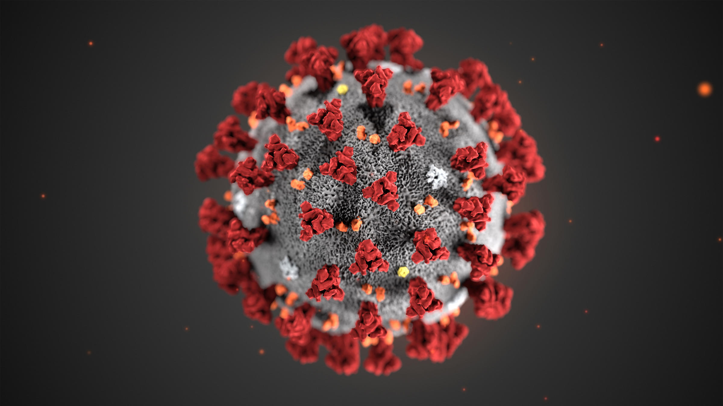 코로나 바이러스. 빨간색으로 그려진 '돌기 단백질'이 세포막에 있는 ACE2 수용체와 맞물려 세포 안으로 들어간다. © Science Source