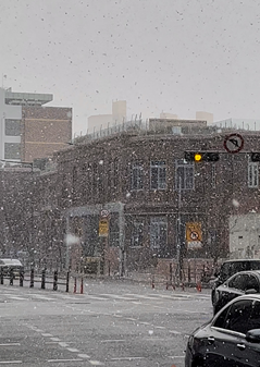 눈 오던 어느 날