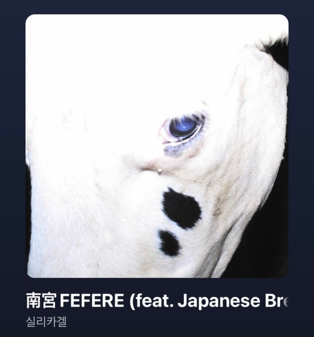 실리카겔_ 南宮FEFERE (feat. Japanese Breakfast_single 0710)
