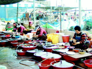 과거 중리 해녀촌의 모습 출처 : 부산일보