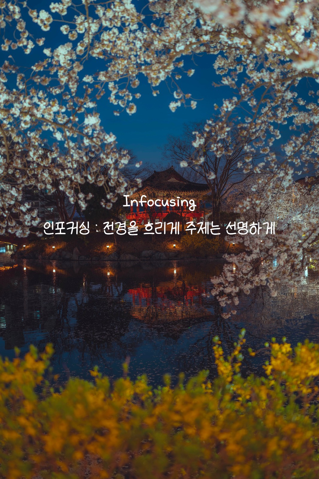 앞을 흐려야 더 또렷해지는, 집중의 구도의 썸네일 이미지