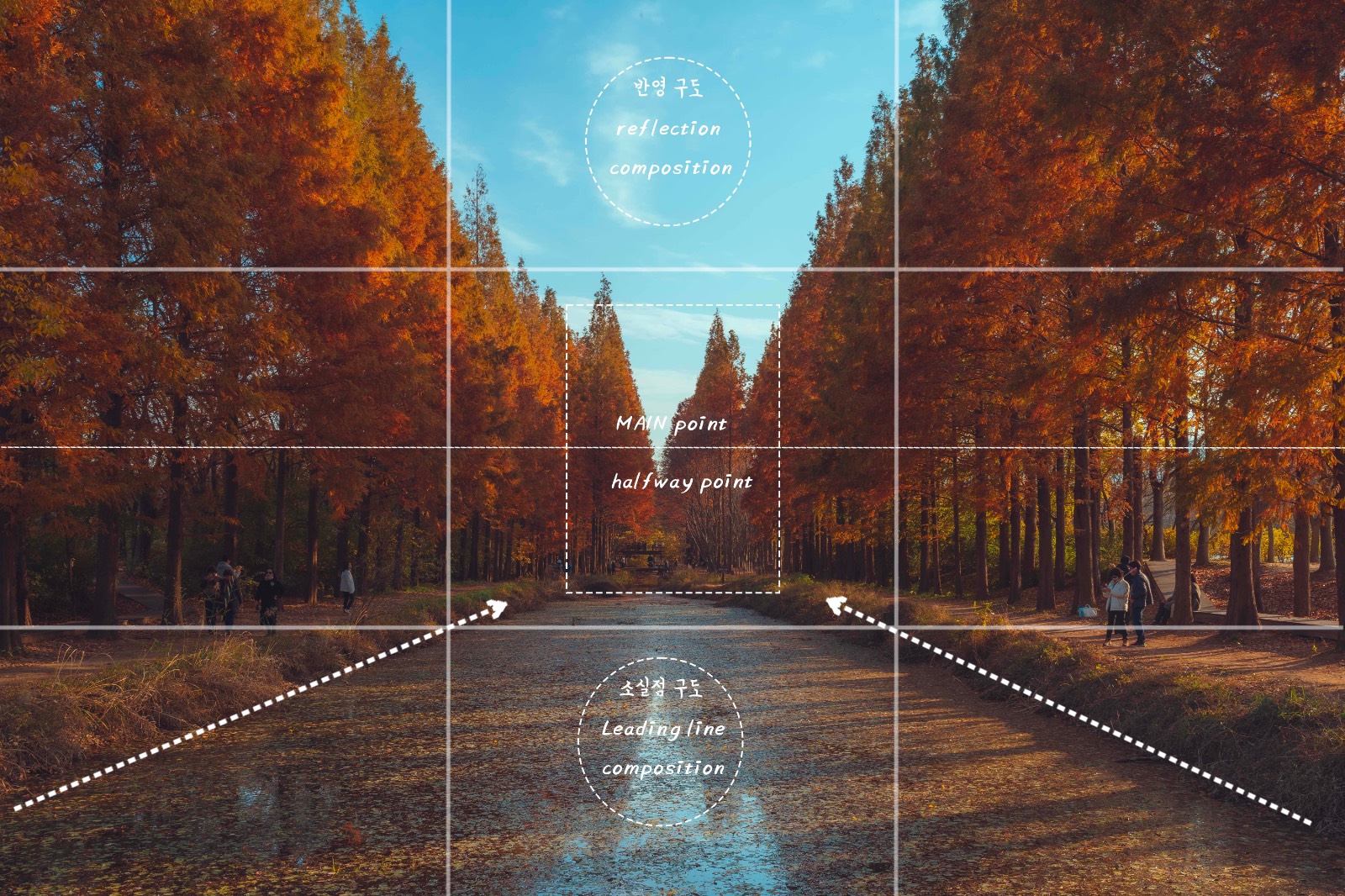 “구도를 섞었을 뿐인데… 사진이 예술이 된다”의 썸네일 이미지