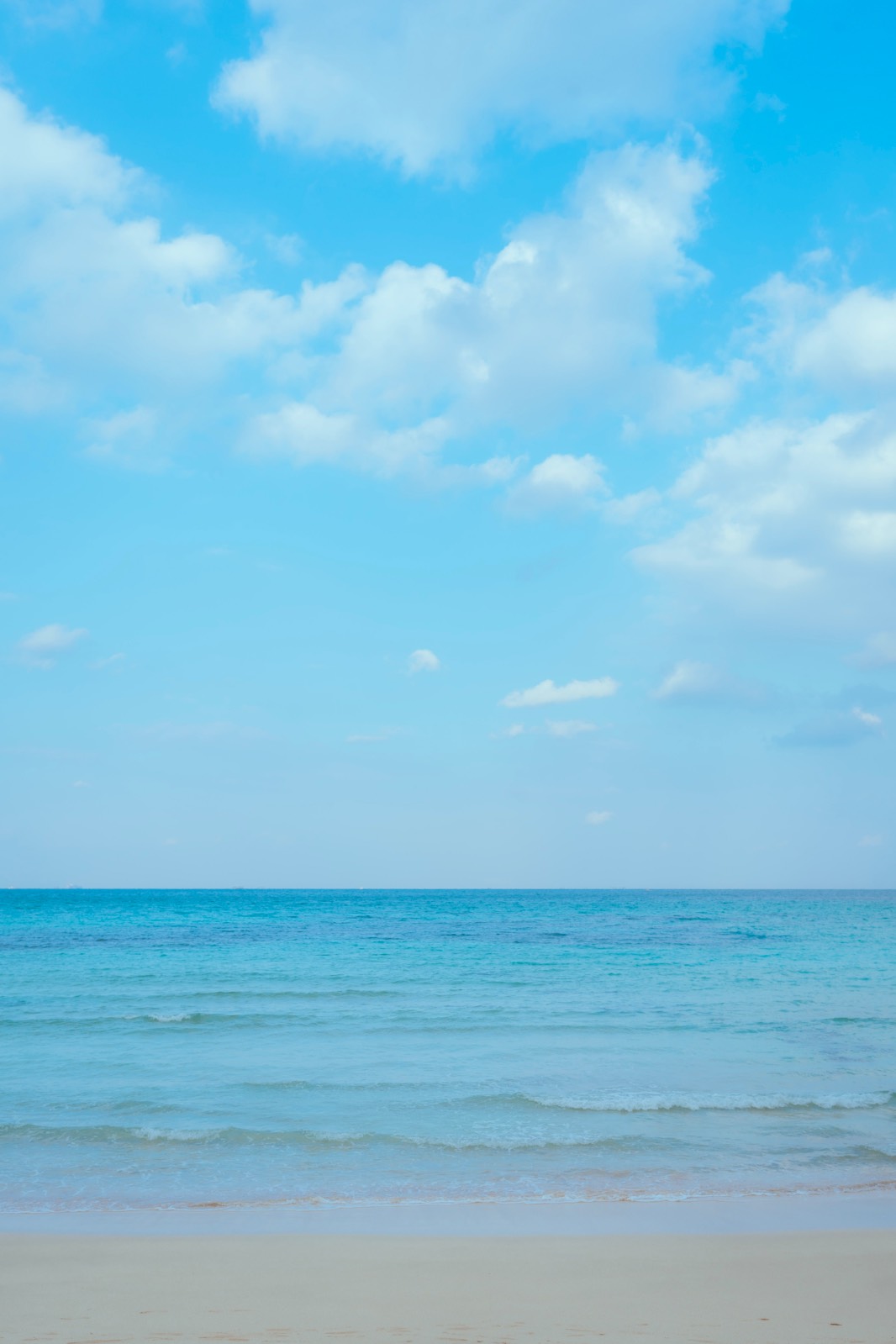 기본으로 돌아가는 삼분할 복습 노트(2/3구도편)의 썸네일 이미지