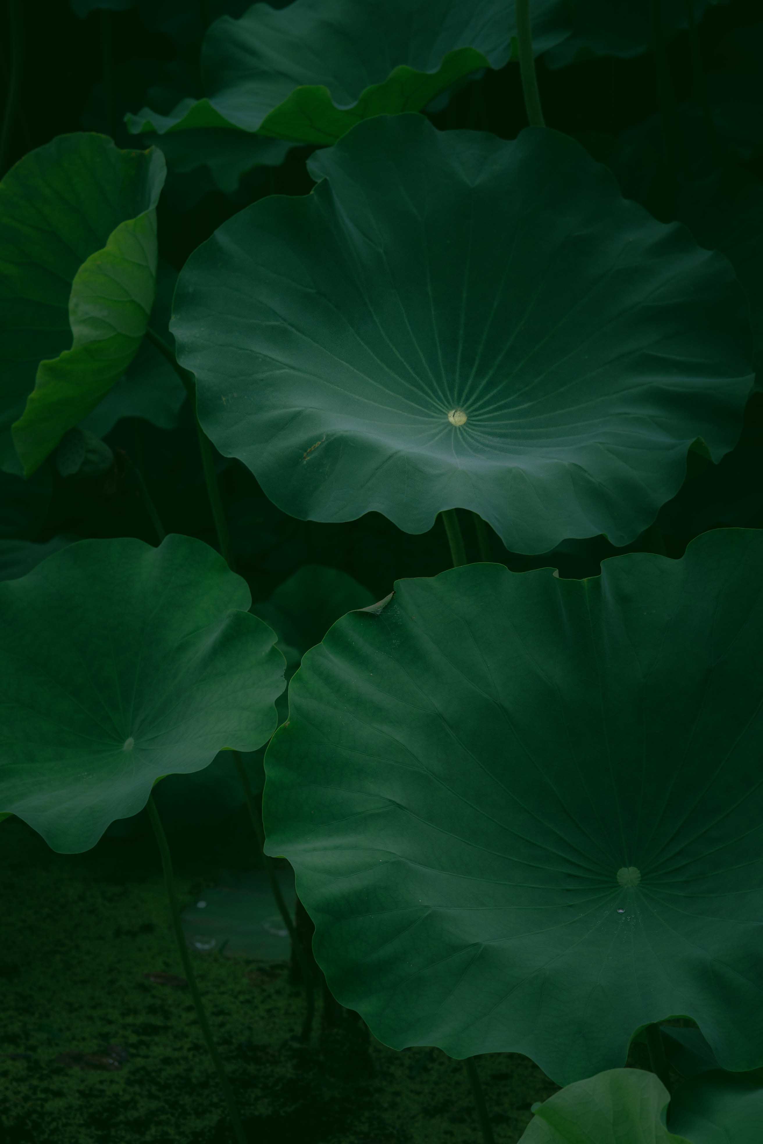 기본으로 돌아가는 복습 노트(방점 패턴 구도편)의 썸네일 이미지