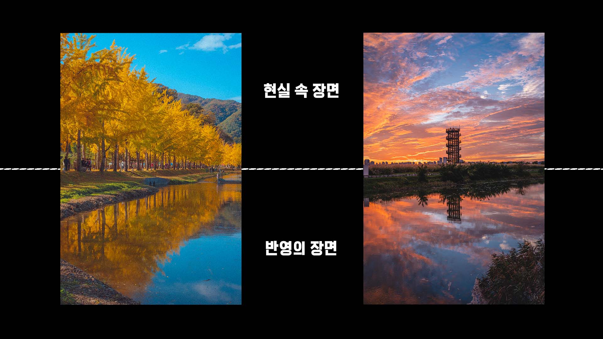 기본으로 돌아가는 복습 노트(데칼코마니 반영 구도편)의 썸네일 이미지