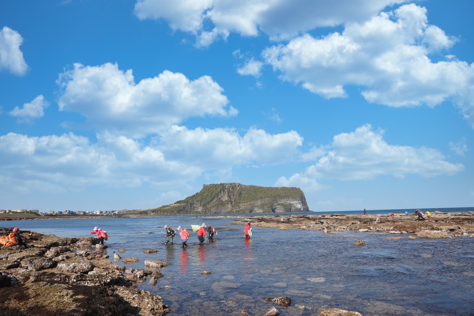  사진 쉽게 알려주는 영뽀또 기본으로 돌아가는 복습 노트(순광 편)의 썸네일 이미지