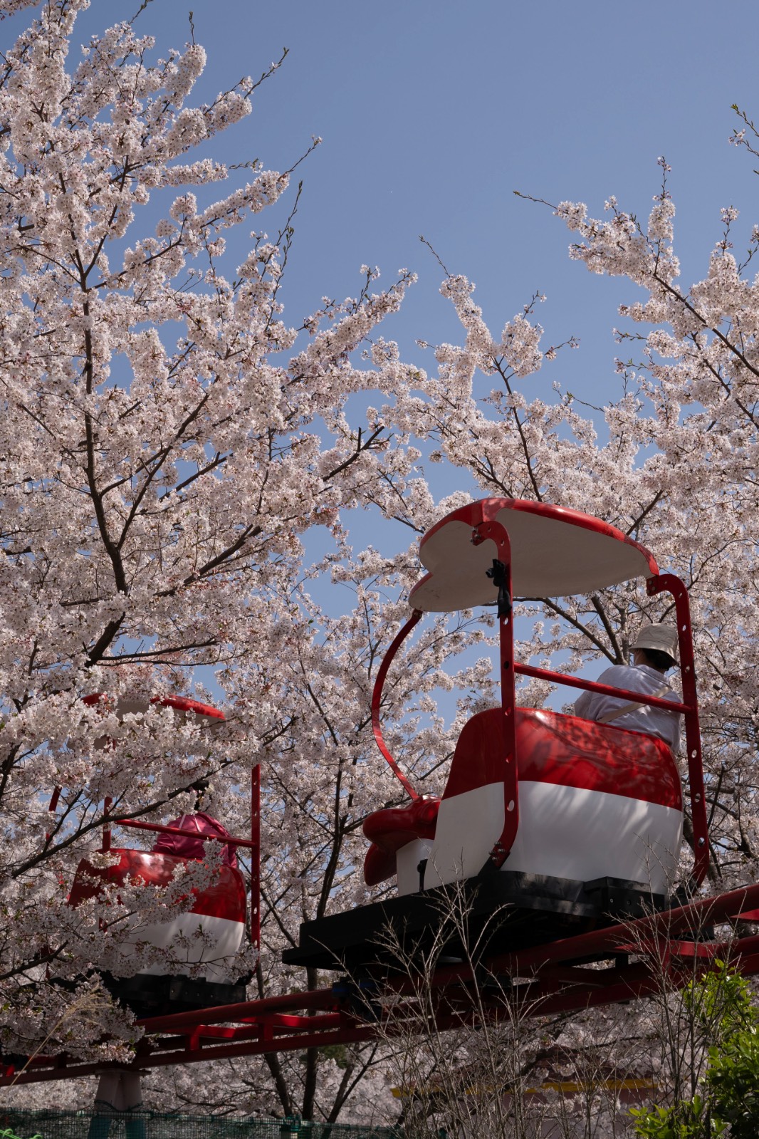 봄 촬영에 잘 어울리는 5가지 필터의 썸네일 이미지