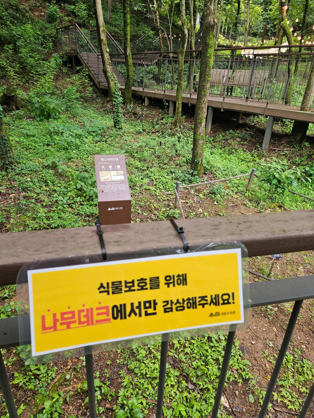 인기스타의 삶은 식물에게도 피곤하다. 극성팬!을 향한 안내문이 붙은 해오라비난초 앞