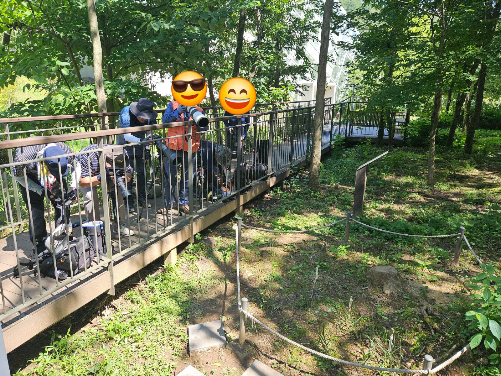 작은 꽃 하나 찍어보겠다는 팬들 덕분에 8월 내내 분주했던 해오라비난초 앞이었다.