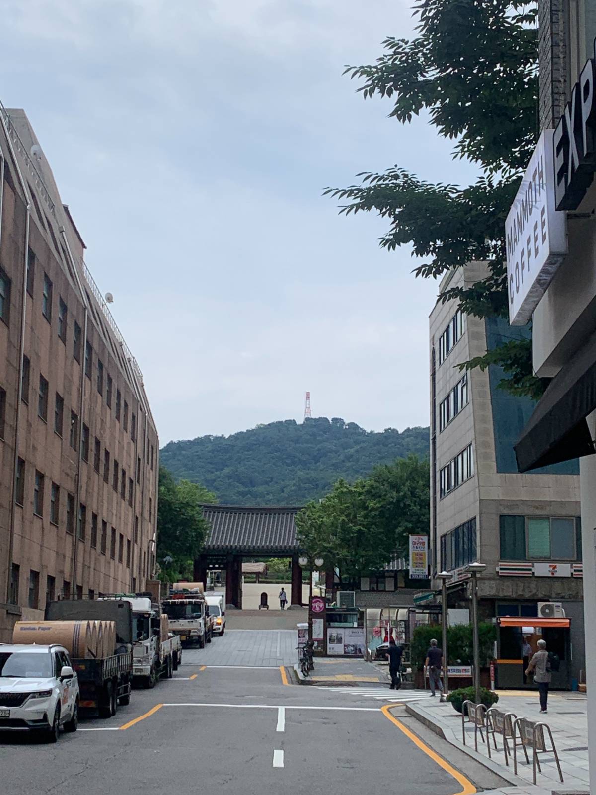 [한시적 조직생활] 4시간 근무 프리랜서의 직장생활 생존기의 썸네일 이미지