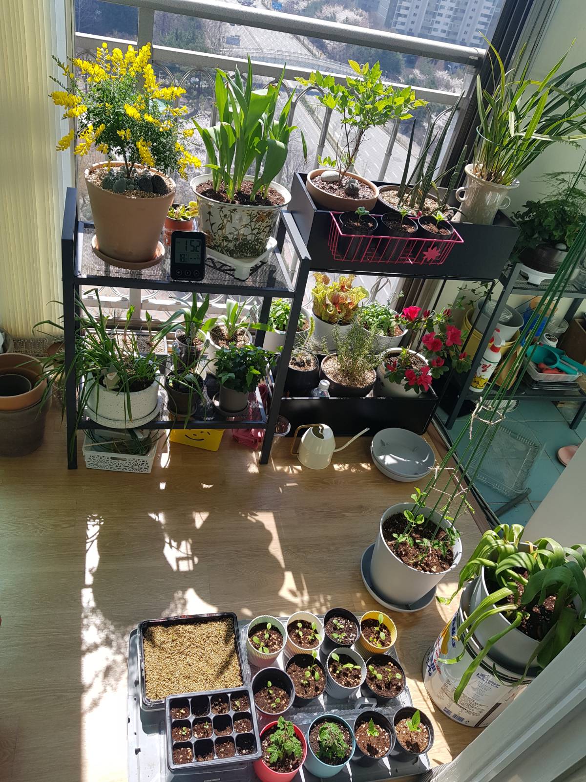 빼곡했던 한 때를 지나