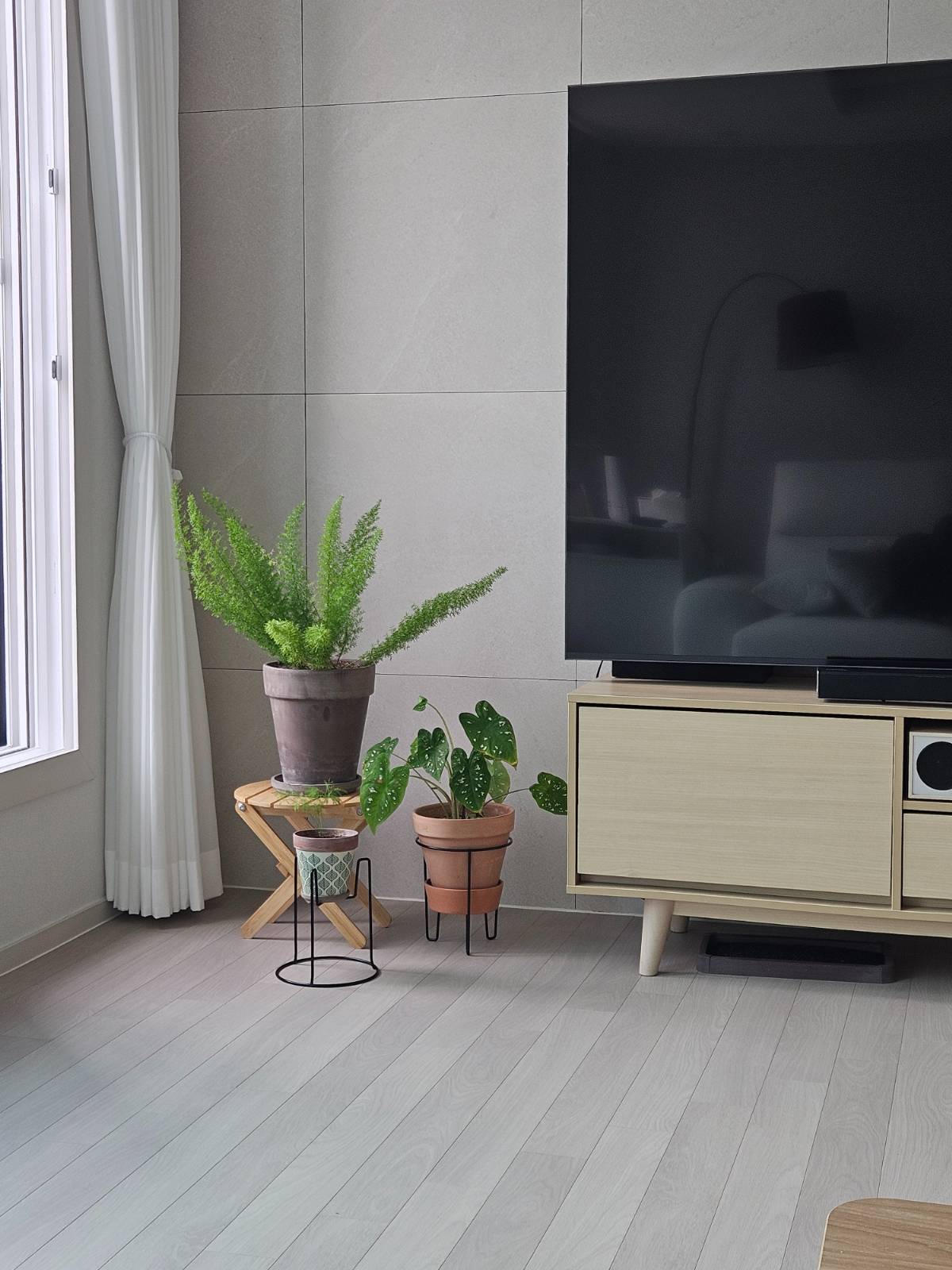 살아 남은 것만 키우겠다는 지금