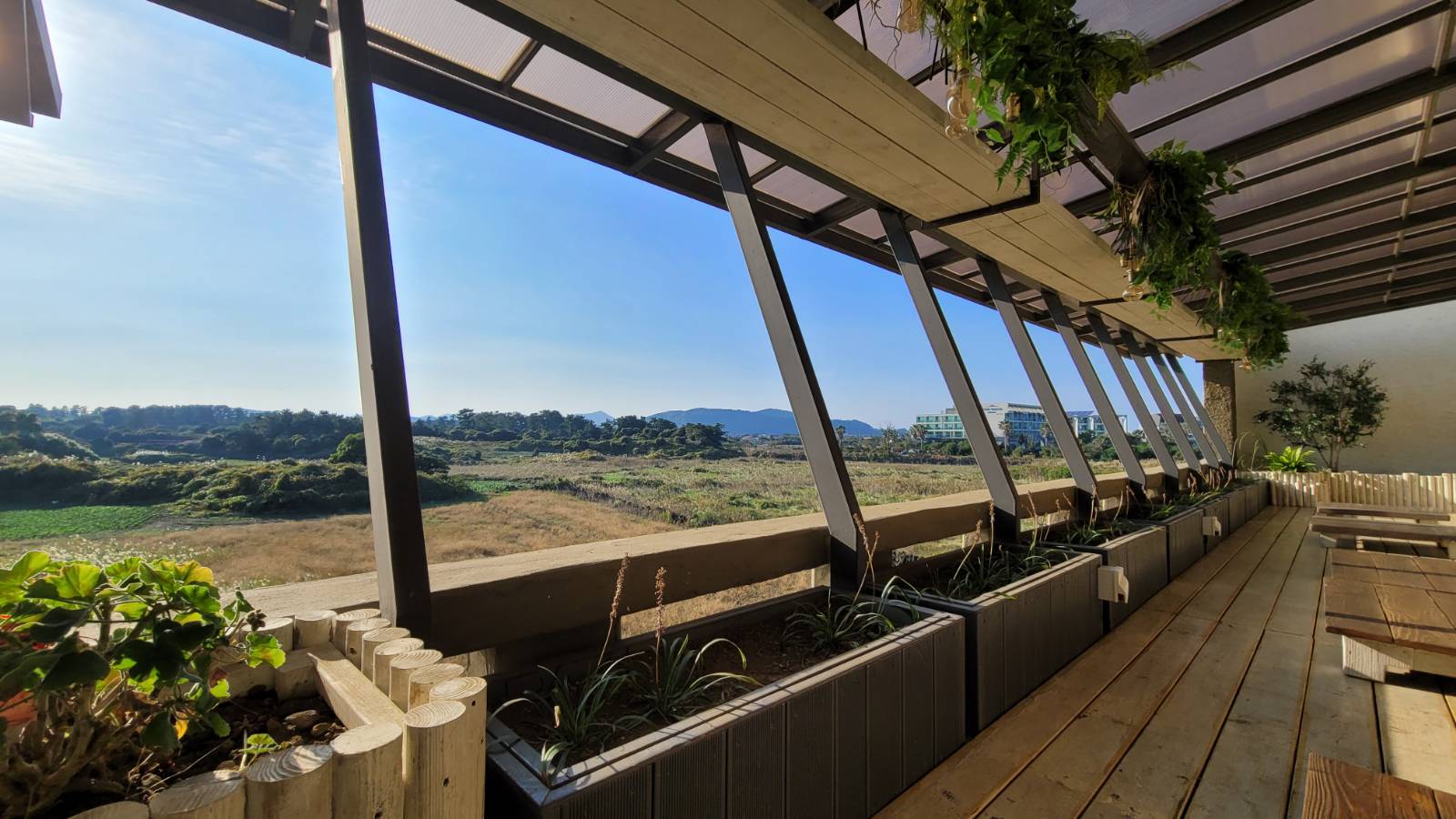 우연히 마주한 숙소 뒷 편