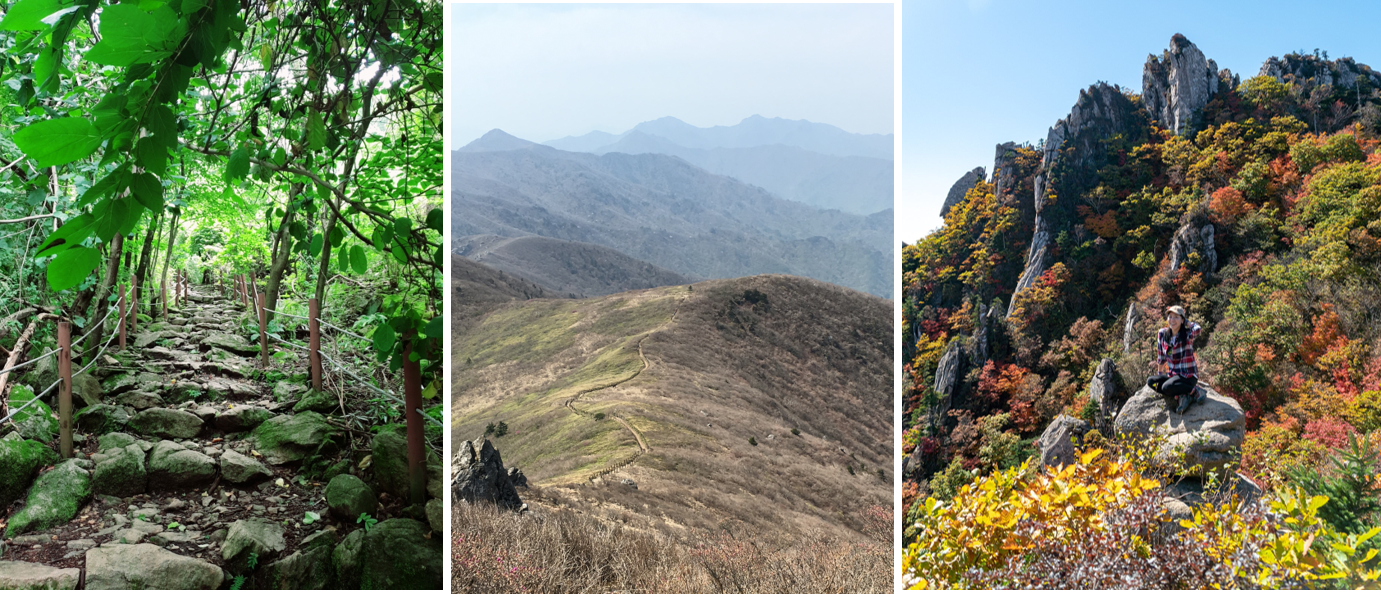 기세 좋은 초록빛이었던 여름의 소백산(왼쪽), 아늑한 덕유평전(가운데), 단풍 제철인 설악산(오른쪽)