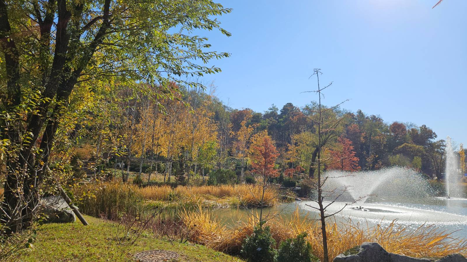 [인상적인 문장] 돌멩인 줄 알았는데 거울이었네요의 썸네일 이미지