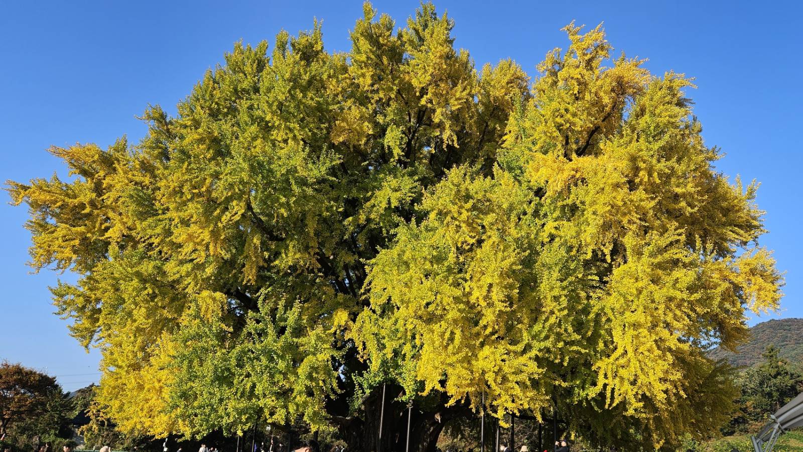 2024.11.2 아름답던 두번째 만남