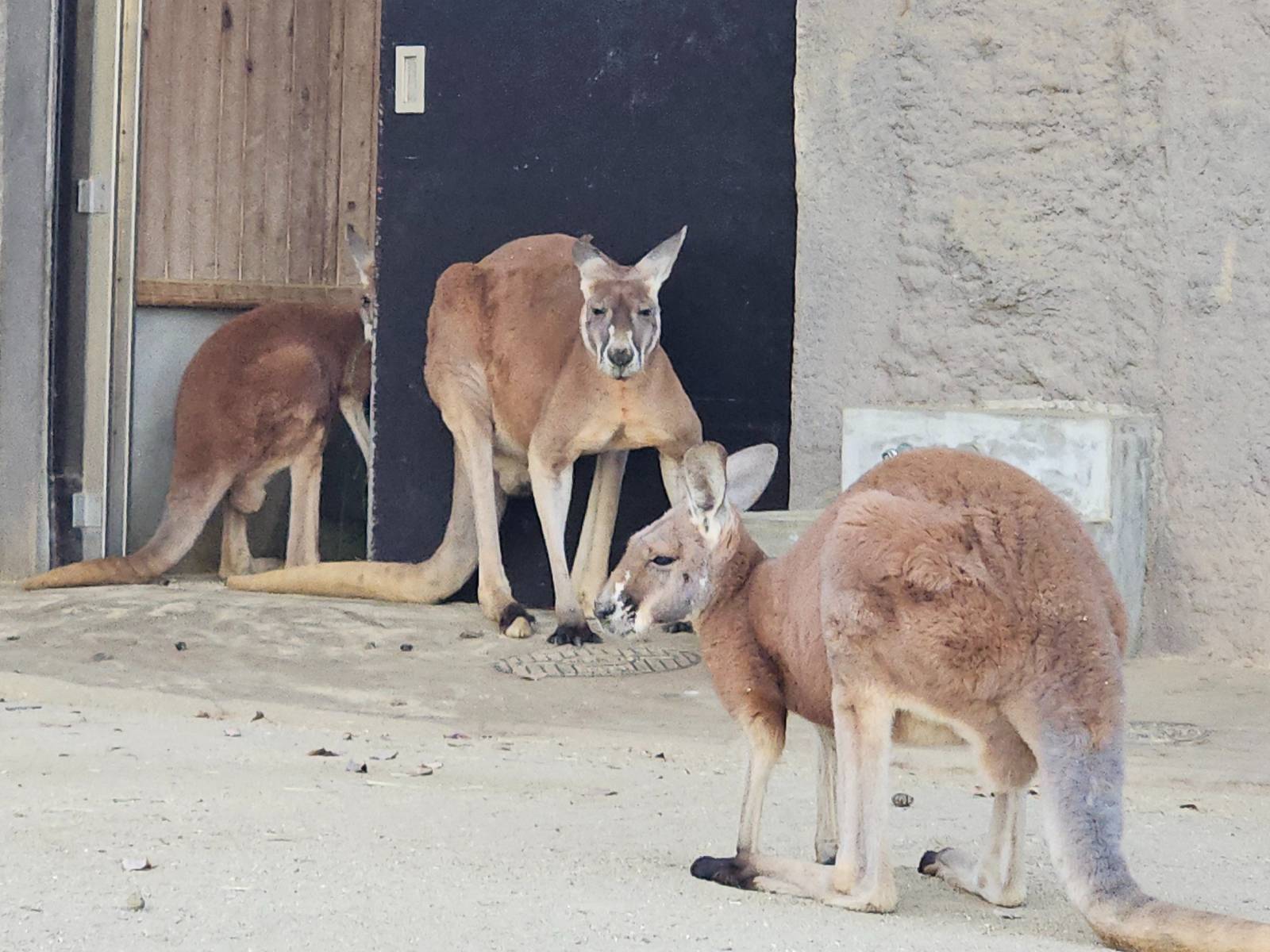 일을 하다보면 '이게 정말 맞는 거냐'고 의심스러울 때가, 또 모른 척 돌아서고 싶을 때가 왕왕 있다.