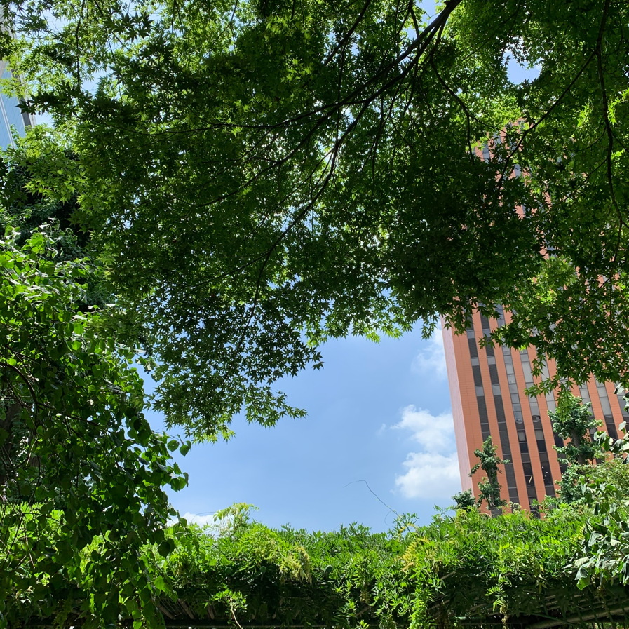 [일의 다정함] 선배란 무엇인가의 썸네일 이미지