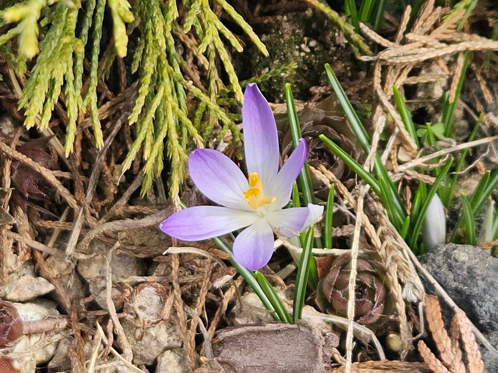 [아마추어와 프로] 나는 어느 쪽일까?의 썸네일 이미지