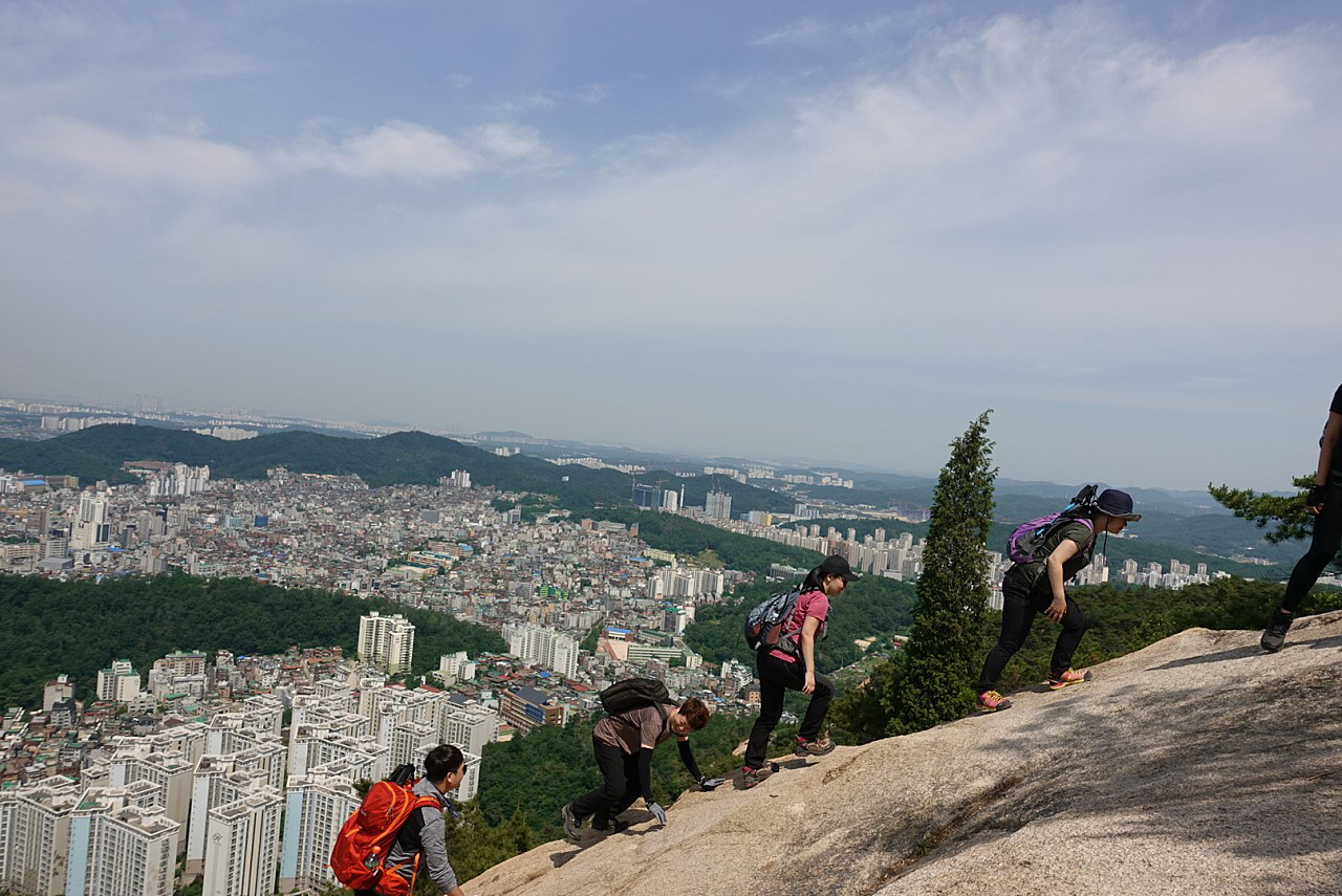첨부 이미지