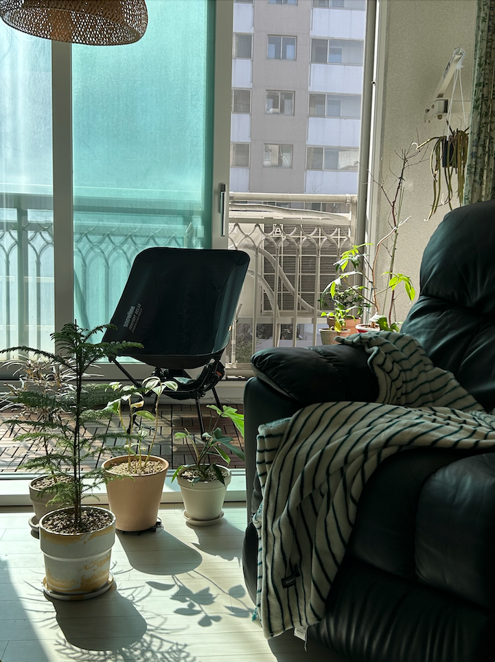 20년 만에 받은 선물의 썸네일 이미지