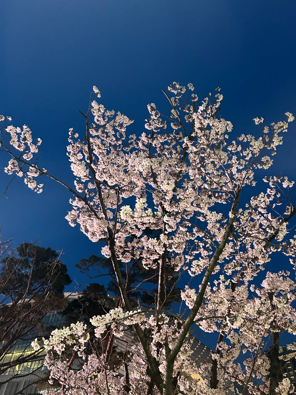 #4 사랑의 시작의 썸네일 이미지