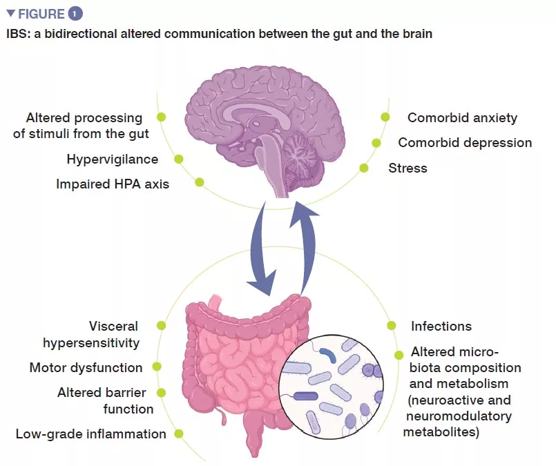 출처: BIOCODEX