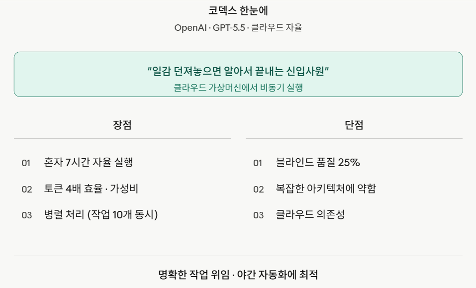 코덱스 한눈에