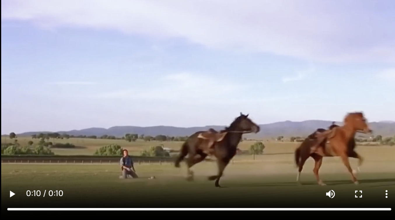 메일리에서는 뉴스레터 복사가 안되어서요~ 위 링크를 눌러주시면 해당 영상을 볼 수 있어요 :)