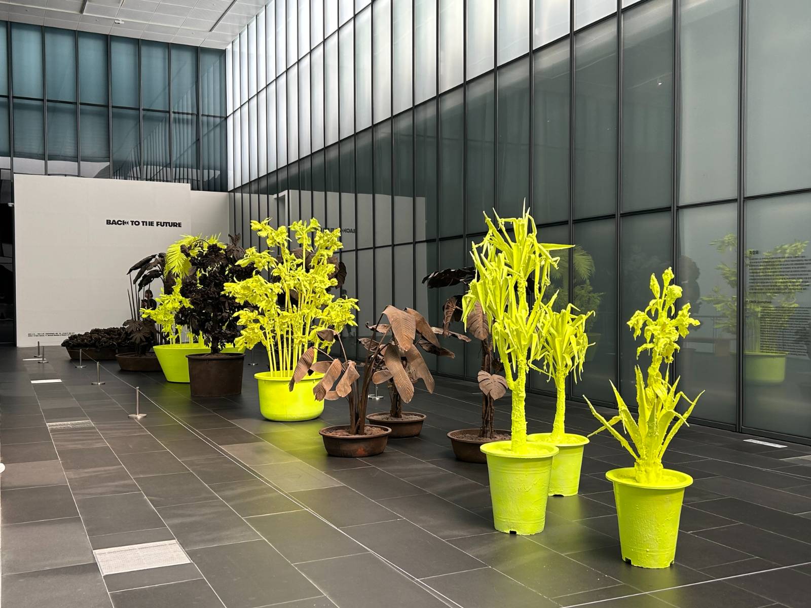 2023년 국립현대미술관 서울에 전시되었던 모습 © 퍼니