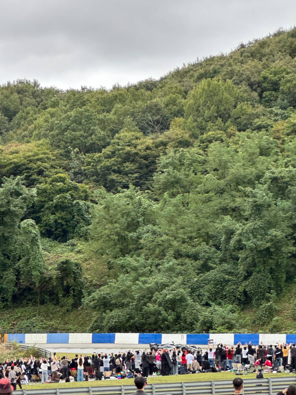 뒤에 계신 분들은 거의 쇼런 못보셨죠. 