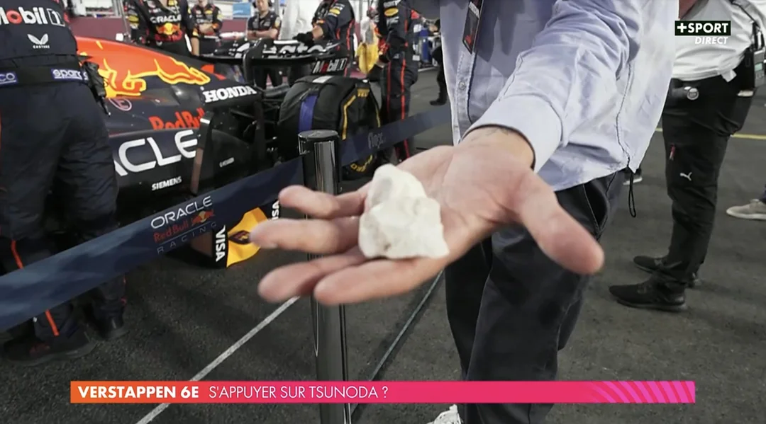 공룡 뼈 같은데