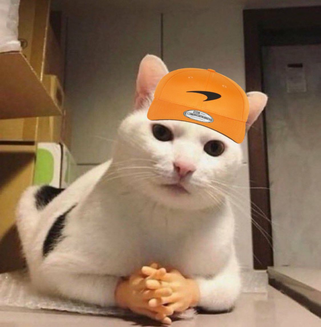 이 밈 너무 귀여워서...