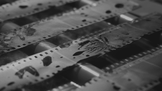 [그림 3: 2021년작 “멜팅 아이스크림”의 스틸 이미지. 출처: 서울 인권 영화제]