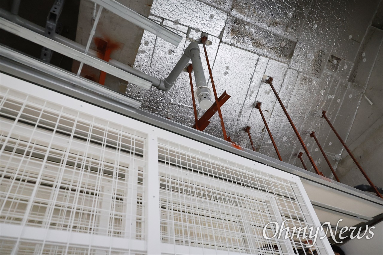 이미지 출처 : 오마이뉴스 김보성