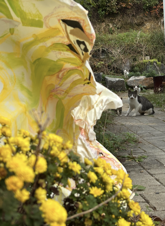 <자화상 다르게 보기> 안전하게 목격되고 목격하기- 사회참여적 반응