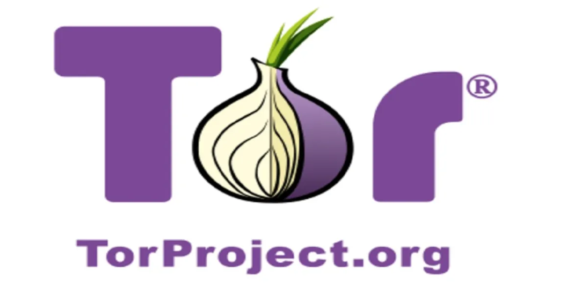 토르에 관해 더 ‘배우고’ 싶다면&nbsp;여기에서 더 자세한 안내서를 읽어 보세요:&nbsp;https://www.vpnmentor.com/blog/tor-browser-work-relate-using-vpn/&nbsp;