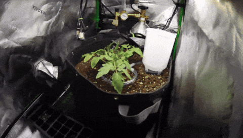 ์ถ์ฒ: Martin_DeVido X ๊ณ์ (@d33v33d0)