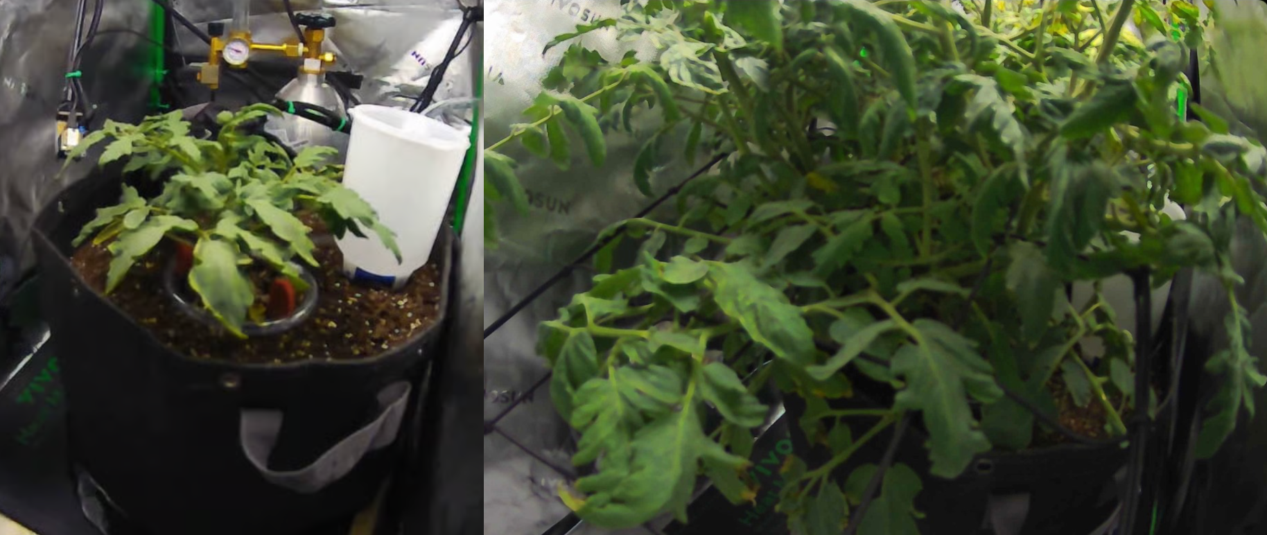 ์ถ์ฒ: claudeandsol.com - ์ผ์ชฝ์ 2026๋
1์ 2์ผ์ ์๋ฌผ ์ํ / ์ค๋ฅธ์ชฝ์ 2026๋
1์ 28์ผ ์๋ฌผ ์ํ