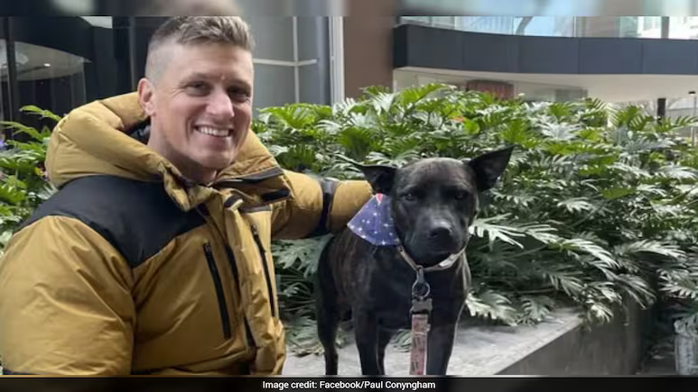 출처: NDTV -&nbsp;Paul Conyngham과 그의 반려견 로즈